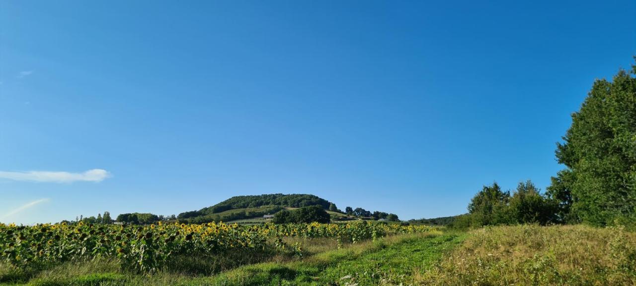 Le Coq En Repos Bed & Breakfast Saint-Sylvestre-sur-Lot Екстериор снимка