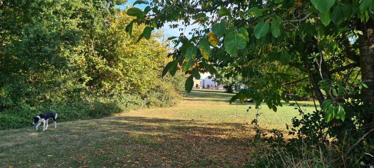 Le Coq En Repos Bed & Breakfast Saint-Sylvestre-sur-Lot Екстериор снимка